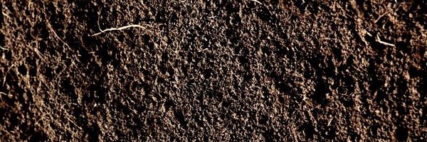 BxttxrsStxtch Profile Banner
