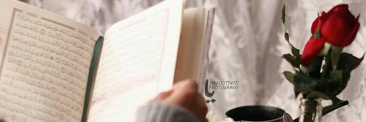 walaa092's profile banner image
