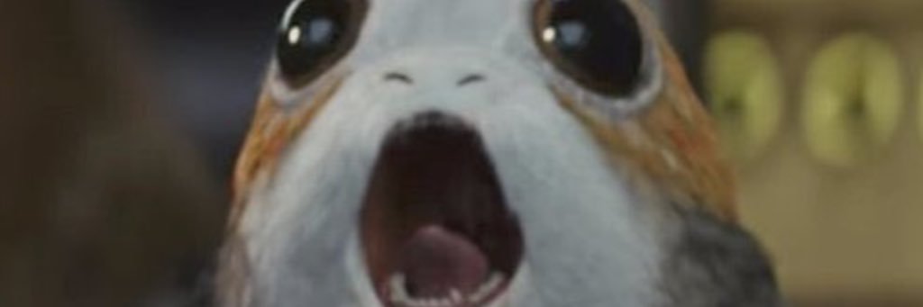 theswilliams's profile banner image