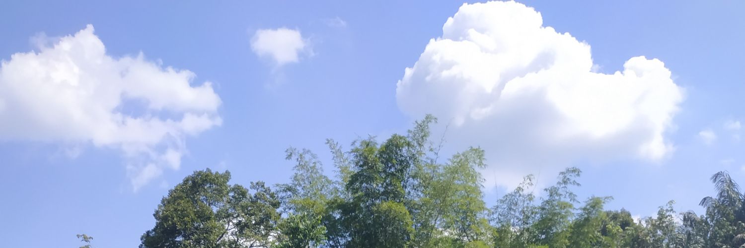fdllh banner