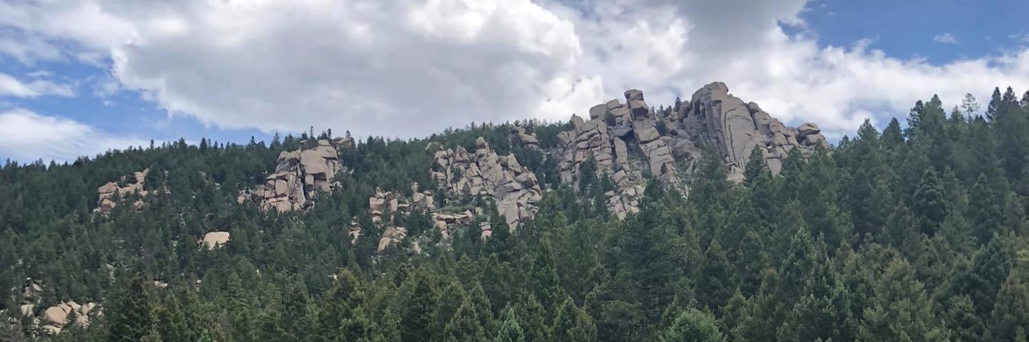 Christian Ling banner