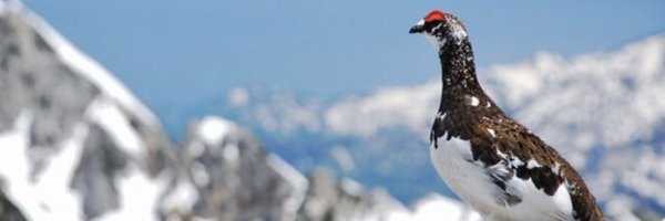 matsudadoraemo1 Profile Banner