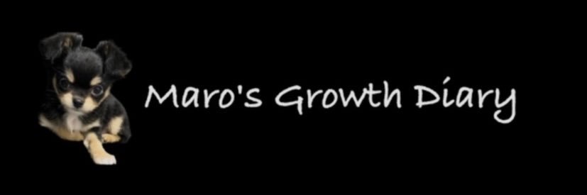 maromaro_11_7's profile banner image