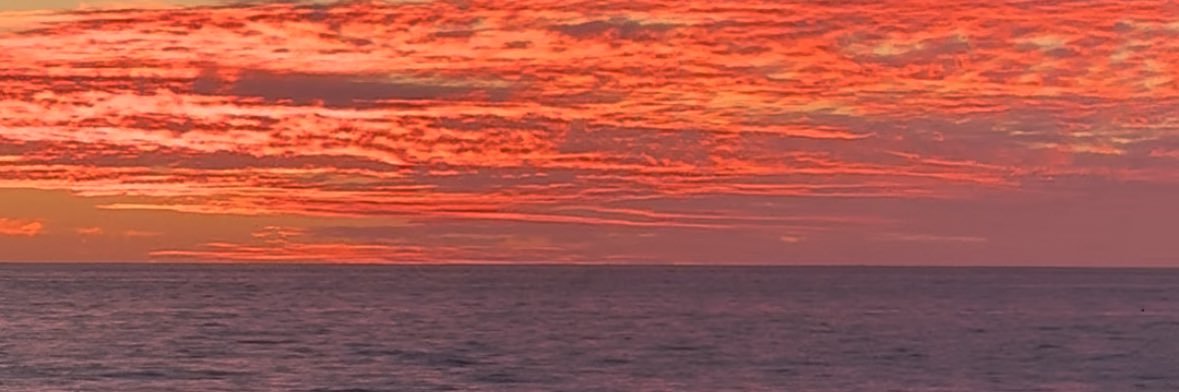 Lu banner