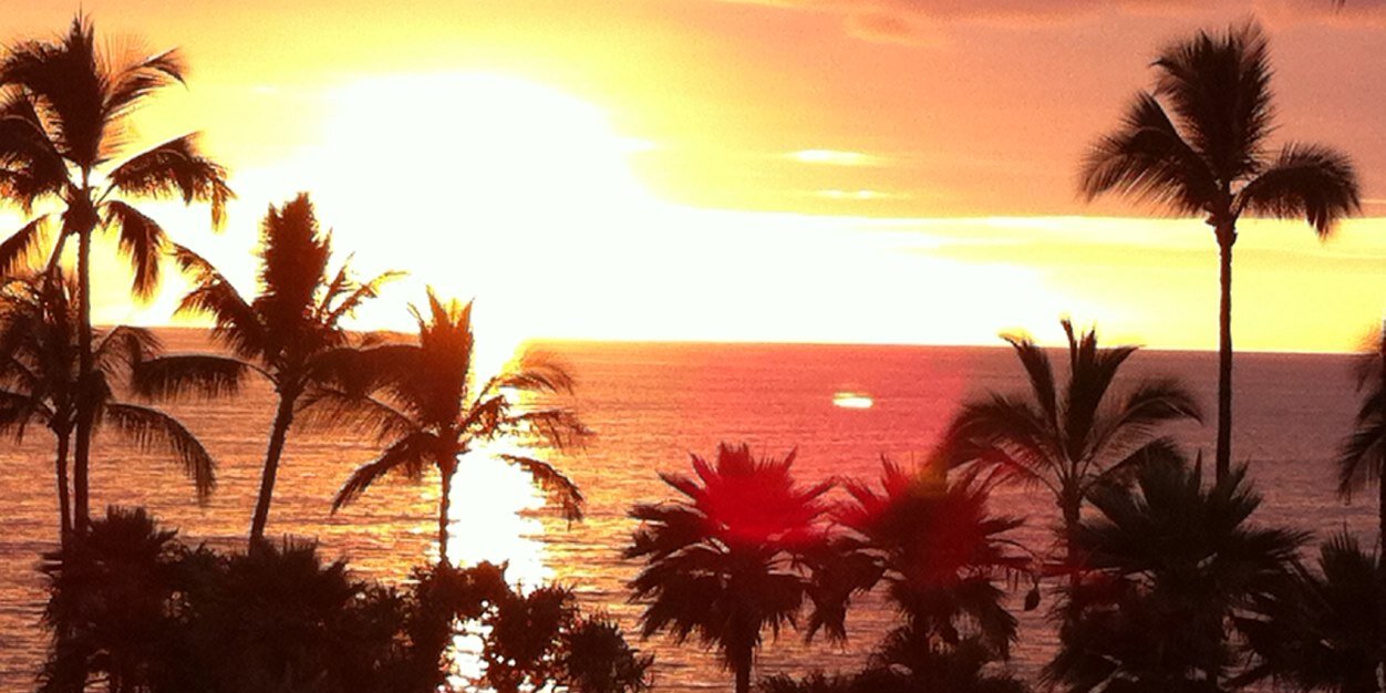 lapetu28's profile banner image
