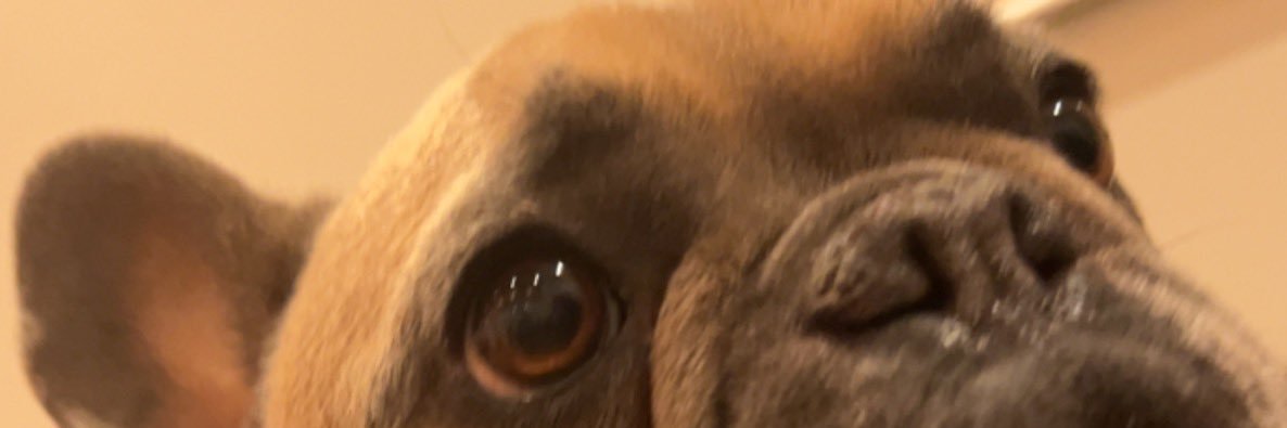 Lyss_dM's profile banner image