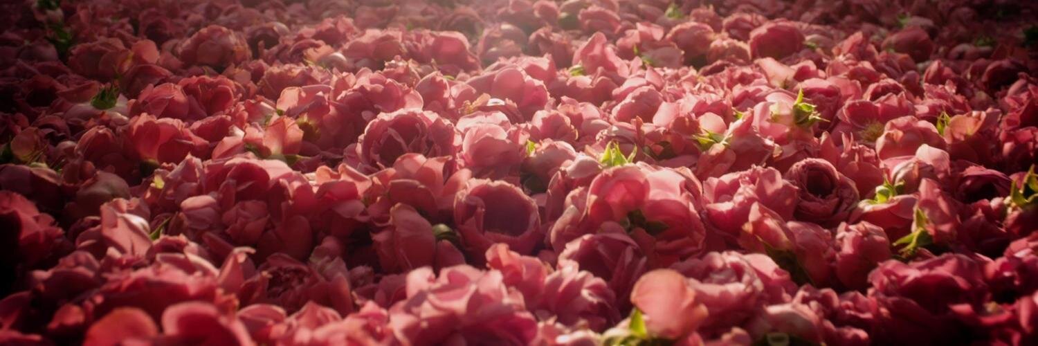 AGall_'s profile banner image