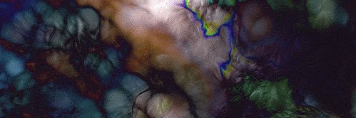 Conscumdrum's profile banner image