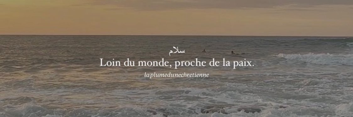 n’dos 🏴‍☠️ banner