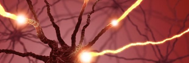 Neurotechfuture banner