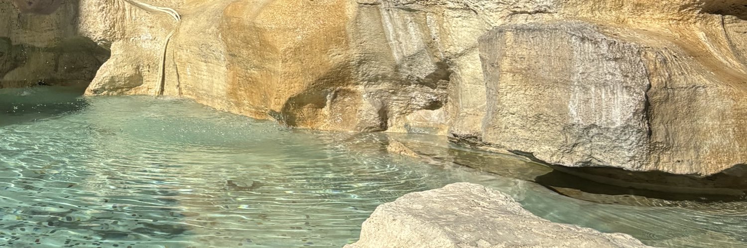 hania | playing arirang for the next eternity banner