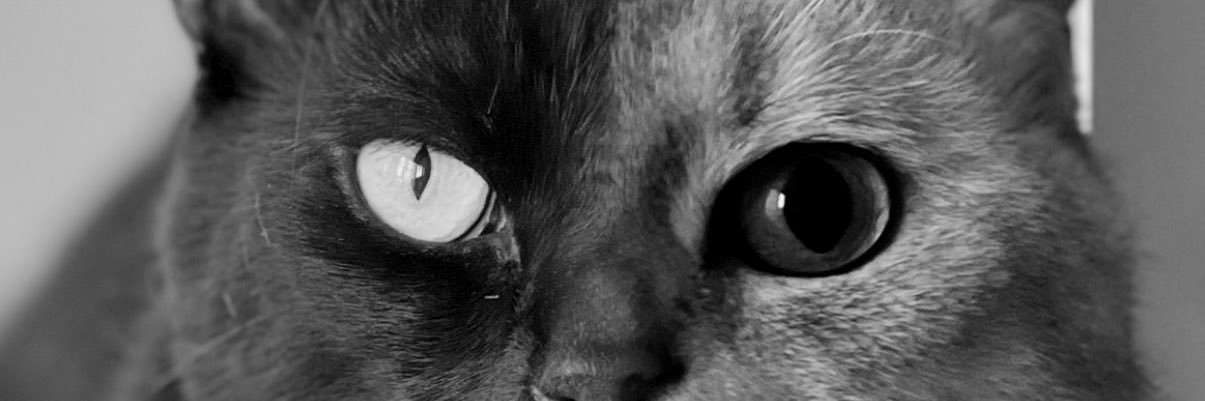 bensrht's profile banner image
