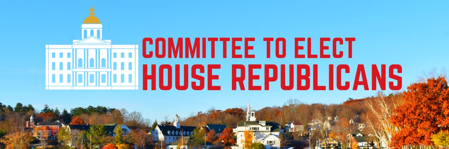 Committee to Elect House Republicans's banner