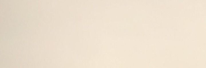 V banner