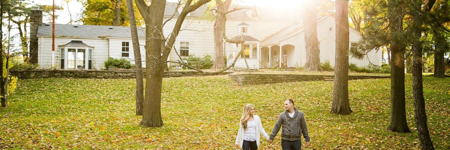 CalicoCatProductions banner