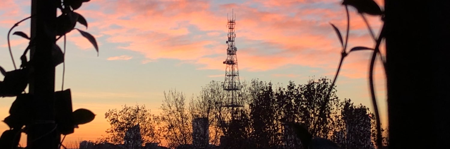 Ottavia Amato banner