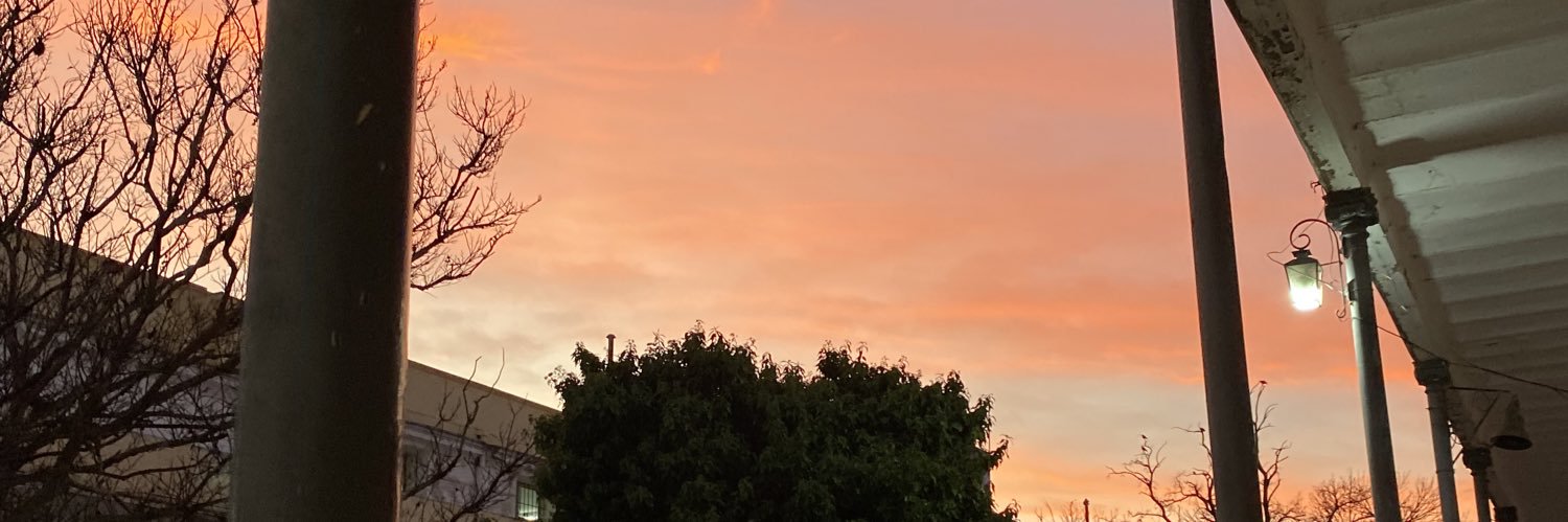 mauralpp's profile banner image