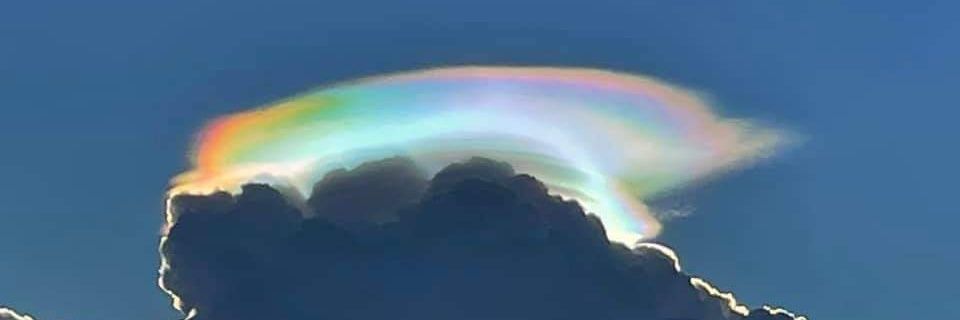 Quasar_TELU's profile banner image