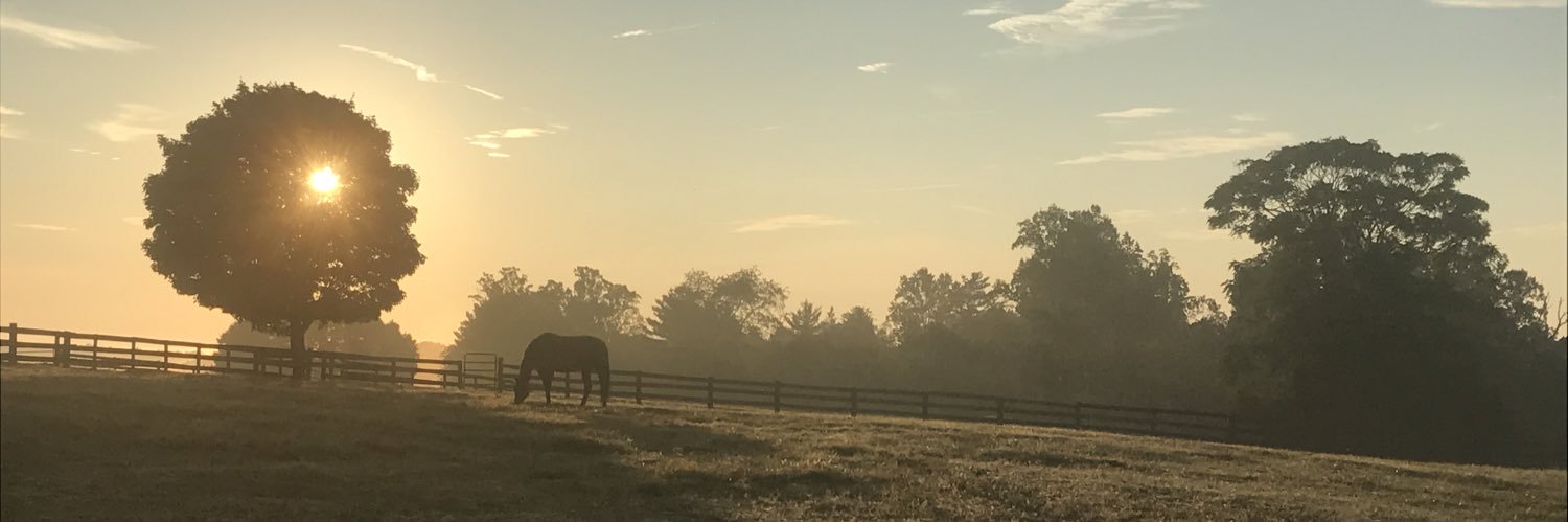 LostInHeadSpace's profile banner image