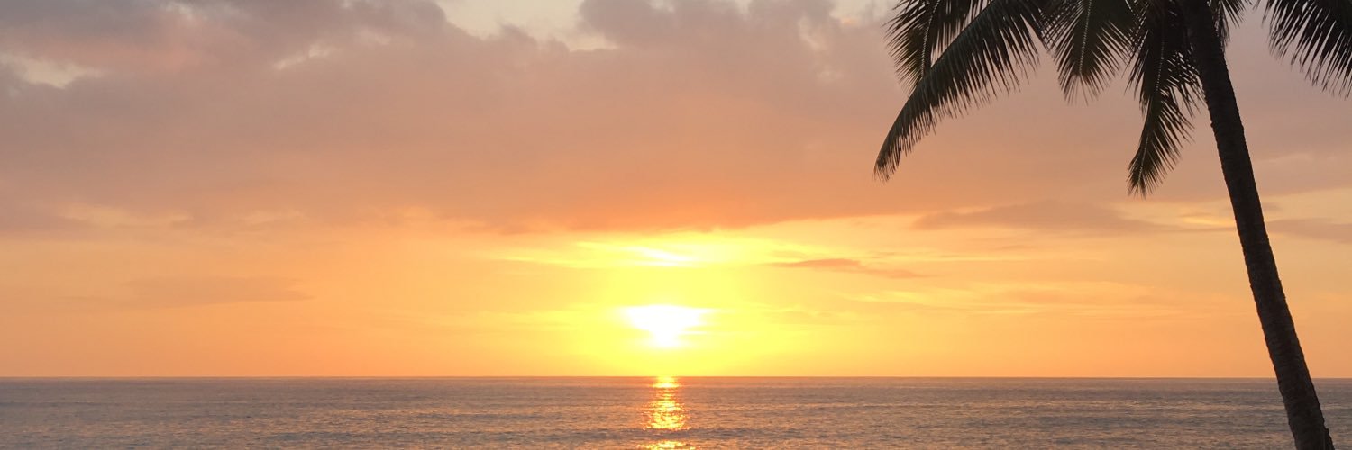 katie__day's profile banner image