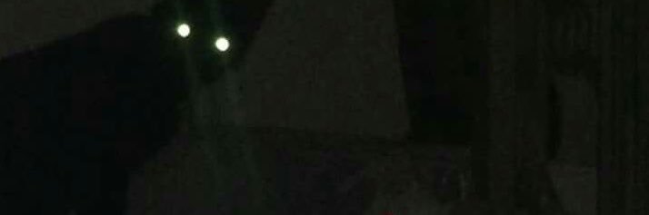 h banner