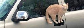 Vive1337's profile banner image