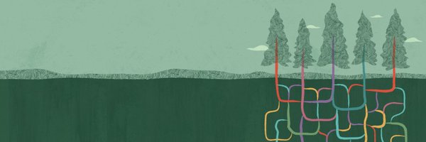 DarioNoSql Profile Banner