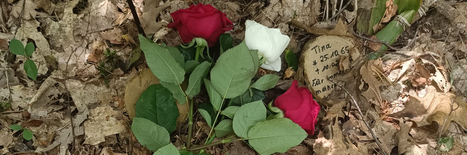 Fishi95's profile banner image