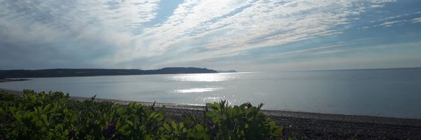 bobRichardsonRA Profile Banner