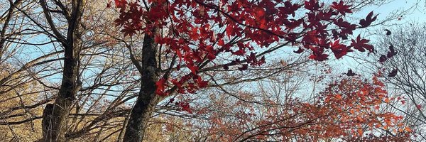 bleurss Profile Banner