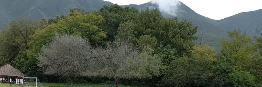 RubriaR's profile banner image