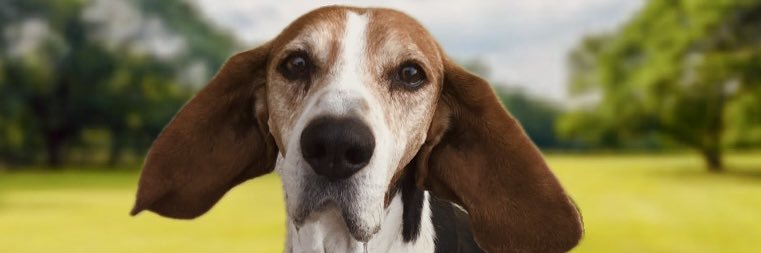 mayoaleee's profile banner image