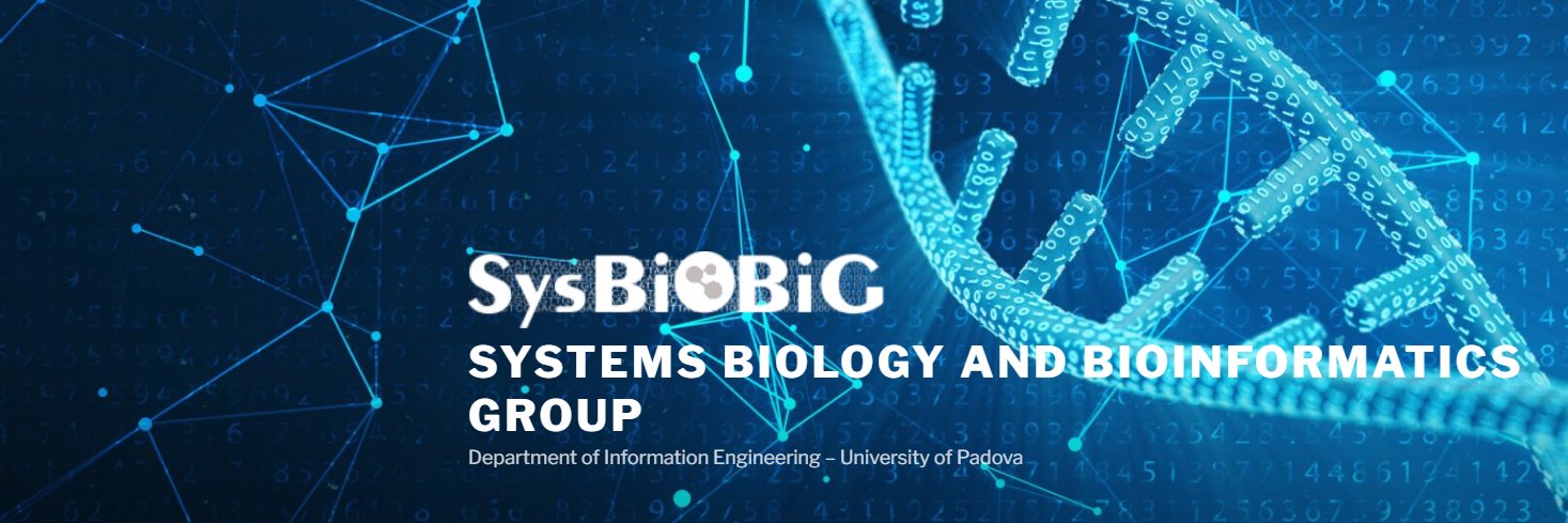 sysbiobigunipd's banner