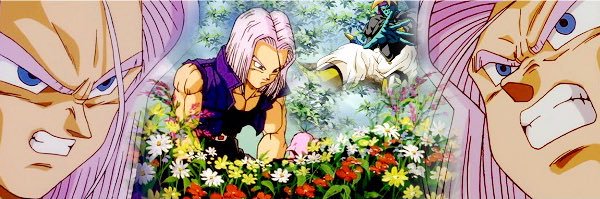 trunks banner