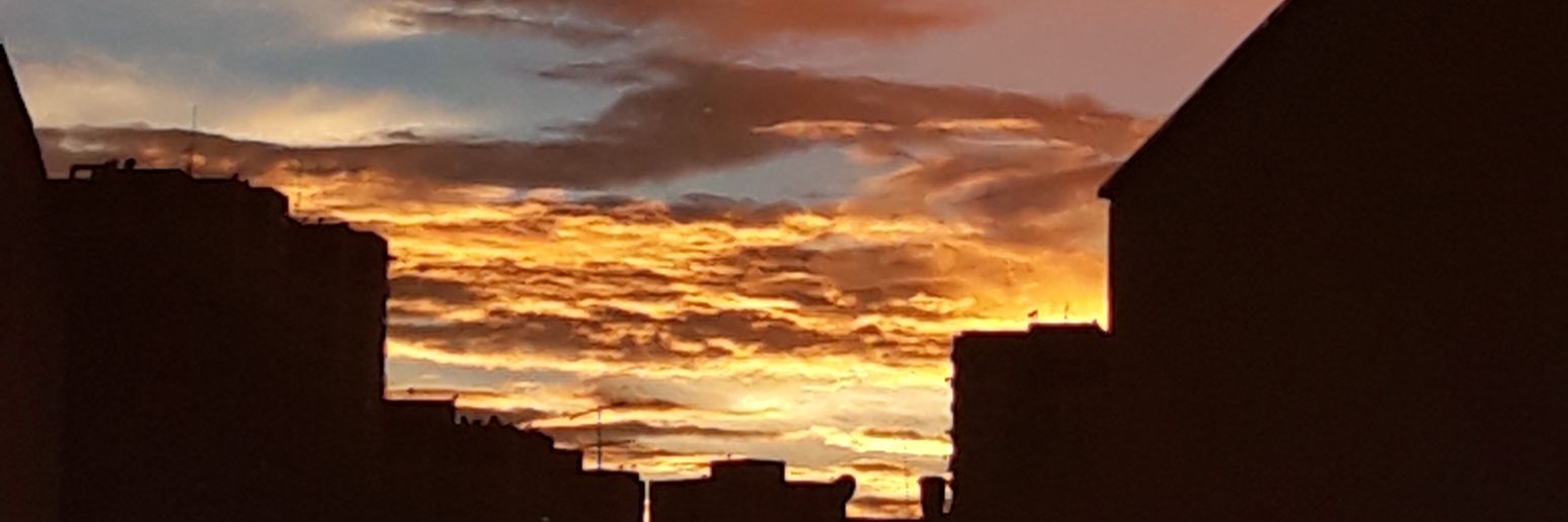 marisolzgs's profile banner image