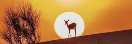 A_rhman_ghazi's profile banner image