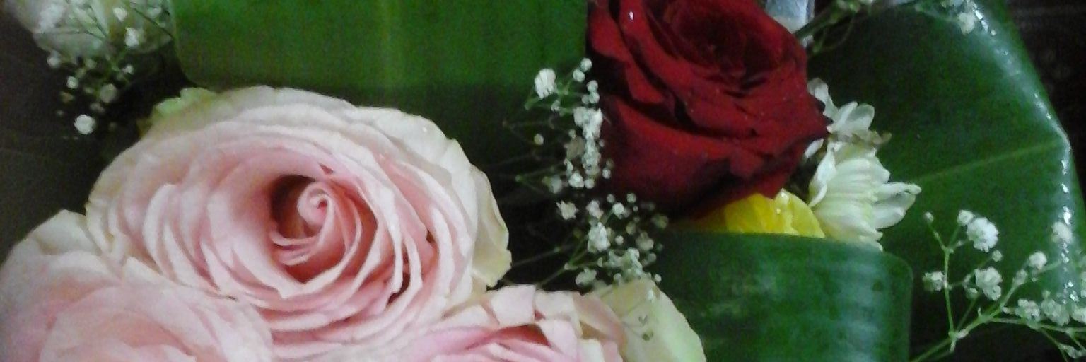 Nda99Qattrt's profile banner image