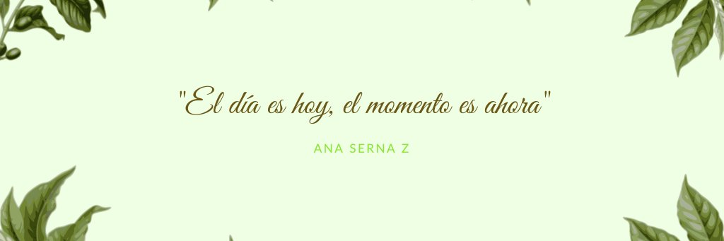 anasernaz's profile banner image