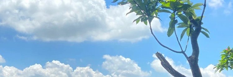 AndrewsOpare3's profile banner image