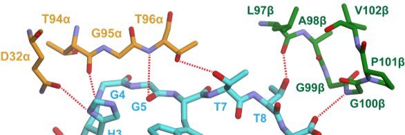 Klebanoff_Lab's banner