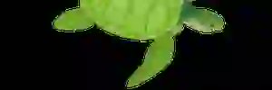 m_zonatto's profile banner image