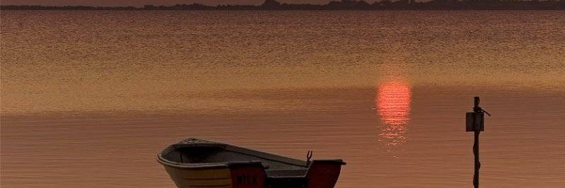 solgonzalez_99's profile banner image
