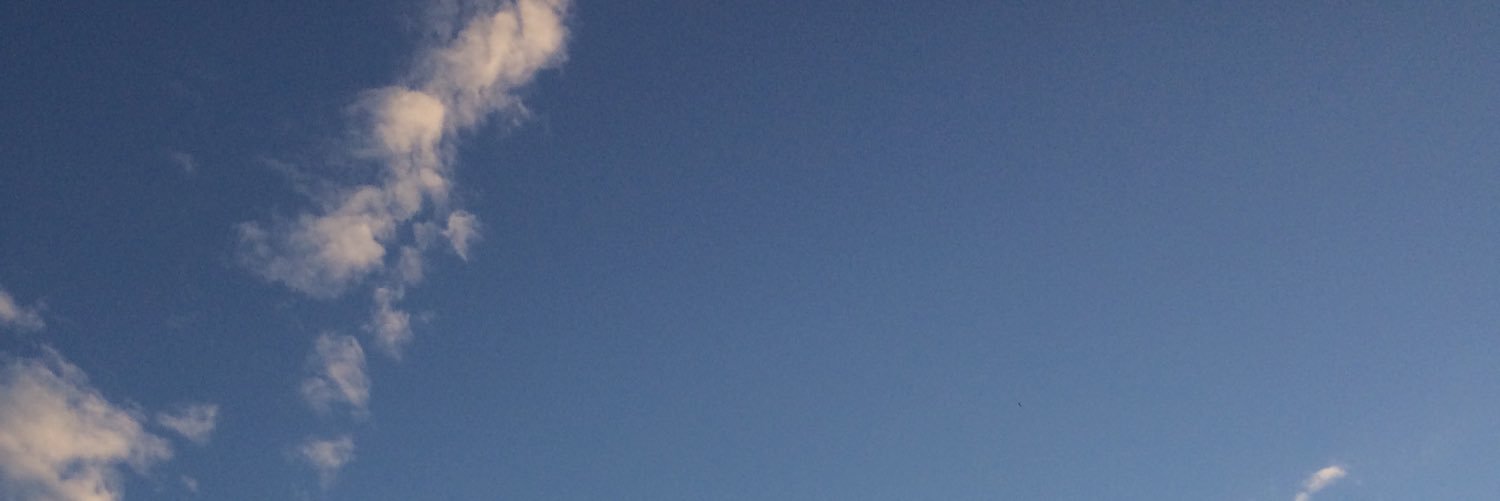 mandazagari's profile banner image