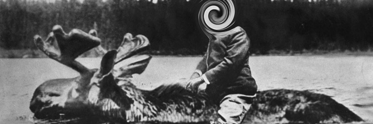 db_roosevelt's profile banner image