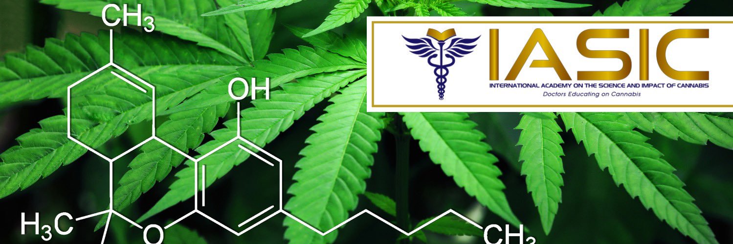 Intl. Academy on the Science & Impact of Cannabis's banner