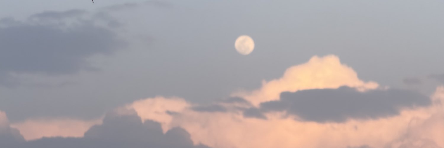 AMNAH.. banner