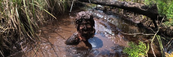 tannerquicksand Profile Banner