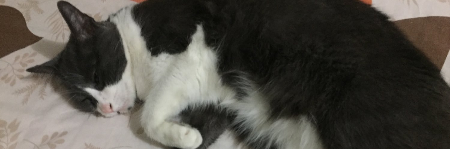 delvallle's profile banner image