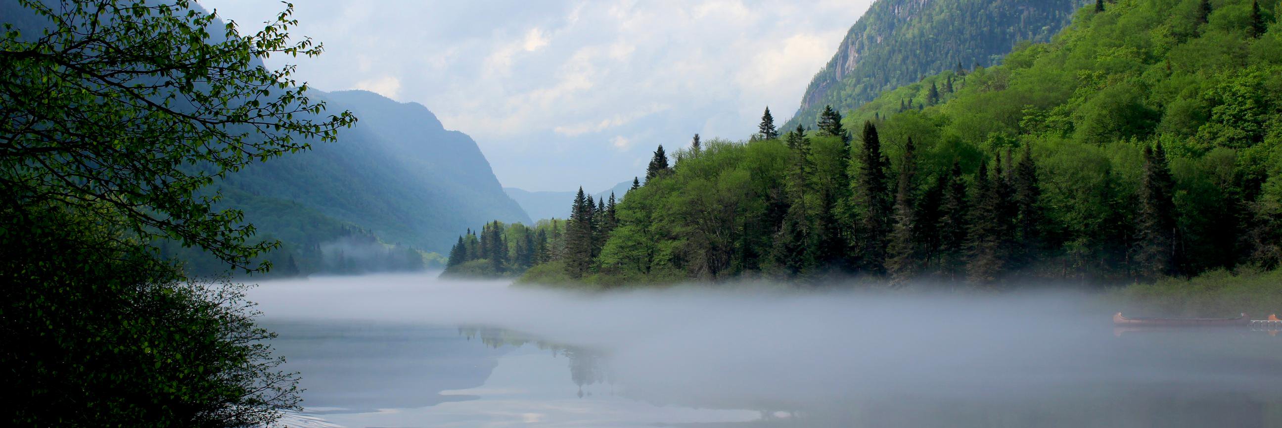 Clara Stewart-Robertson banner