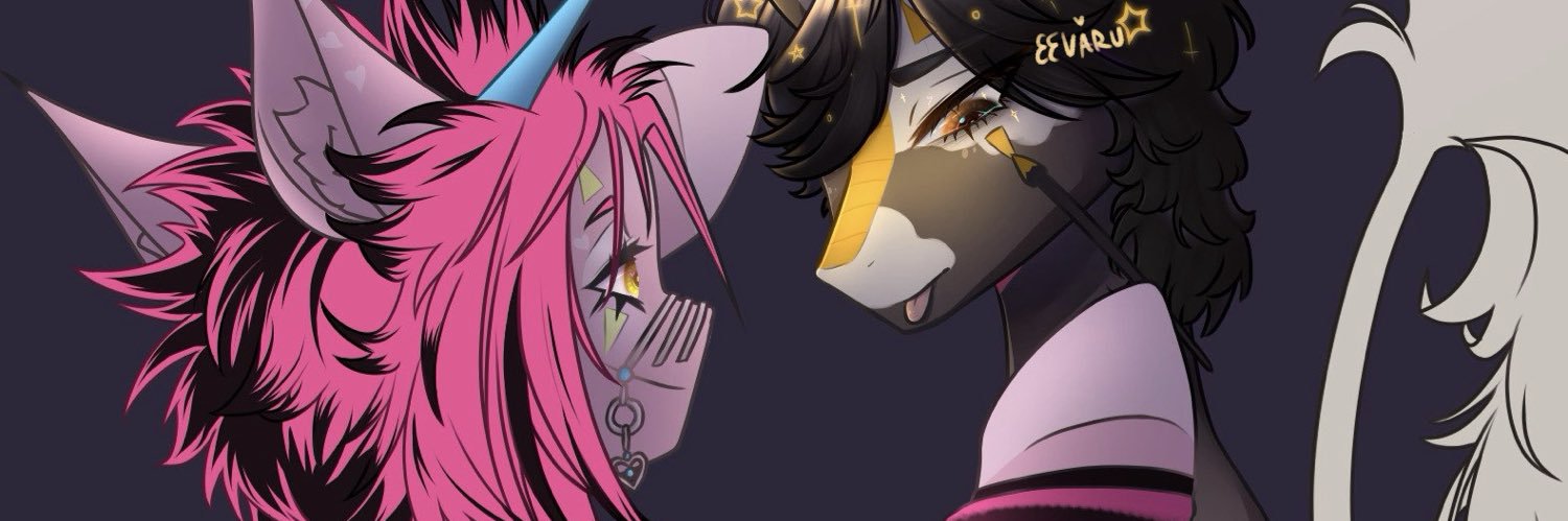 eevaru's profile banner image